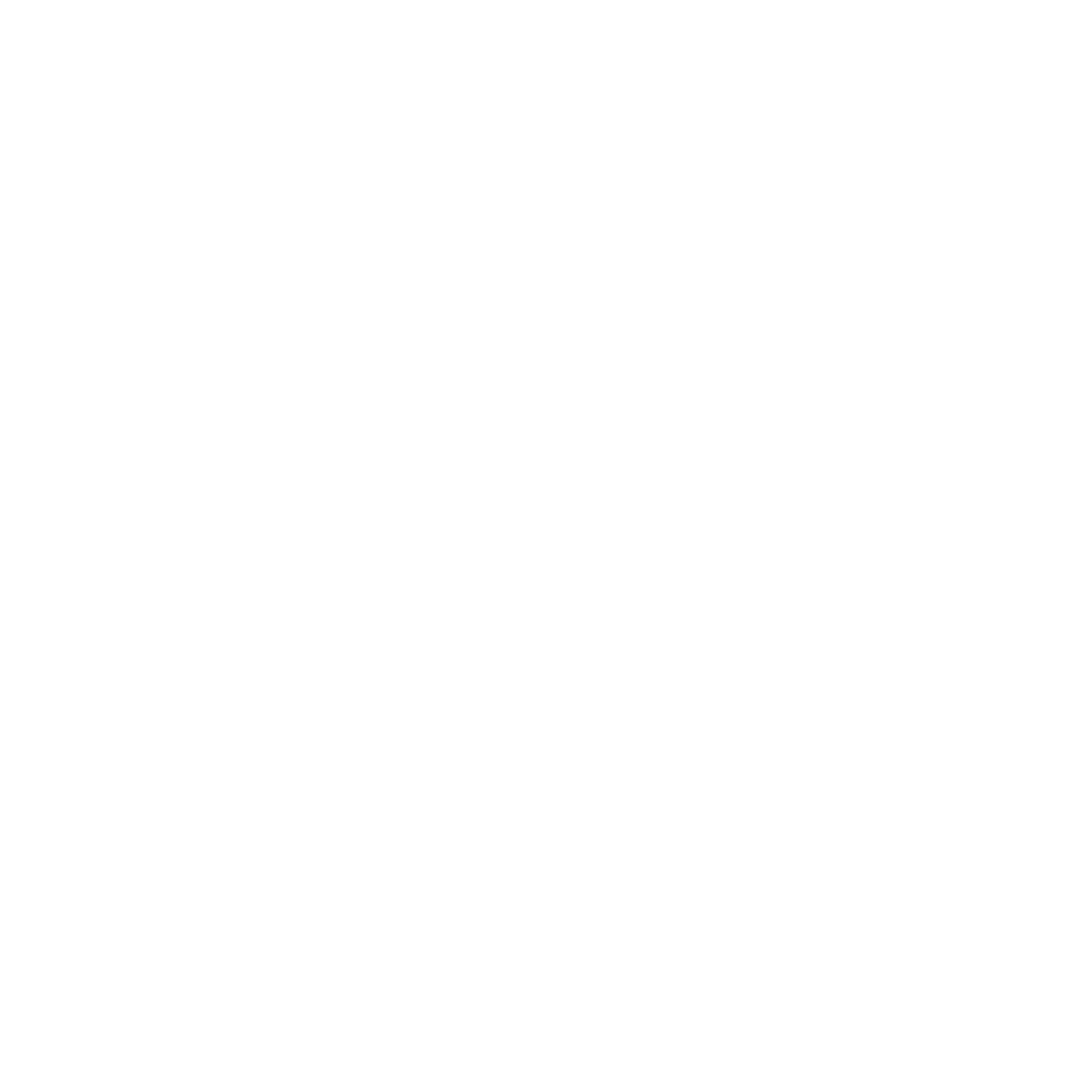 BR SYSTEMS